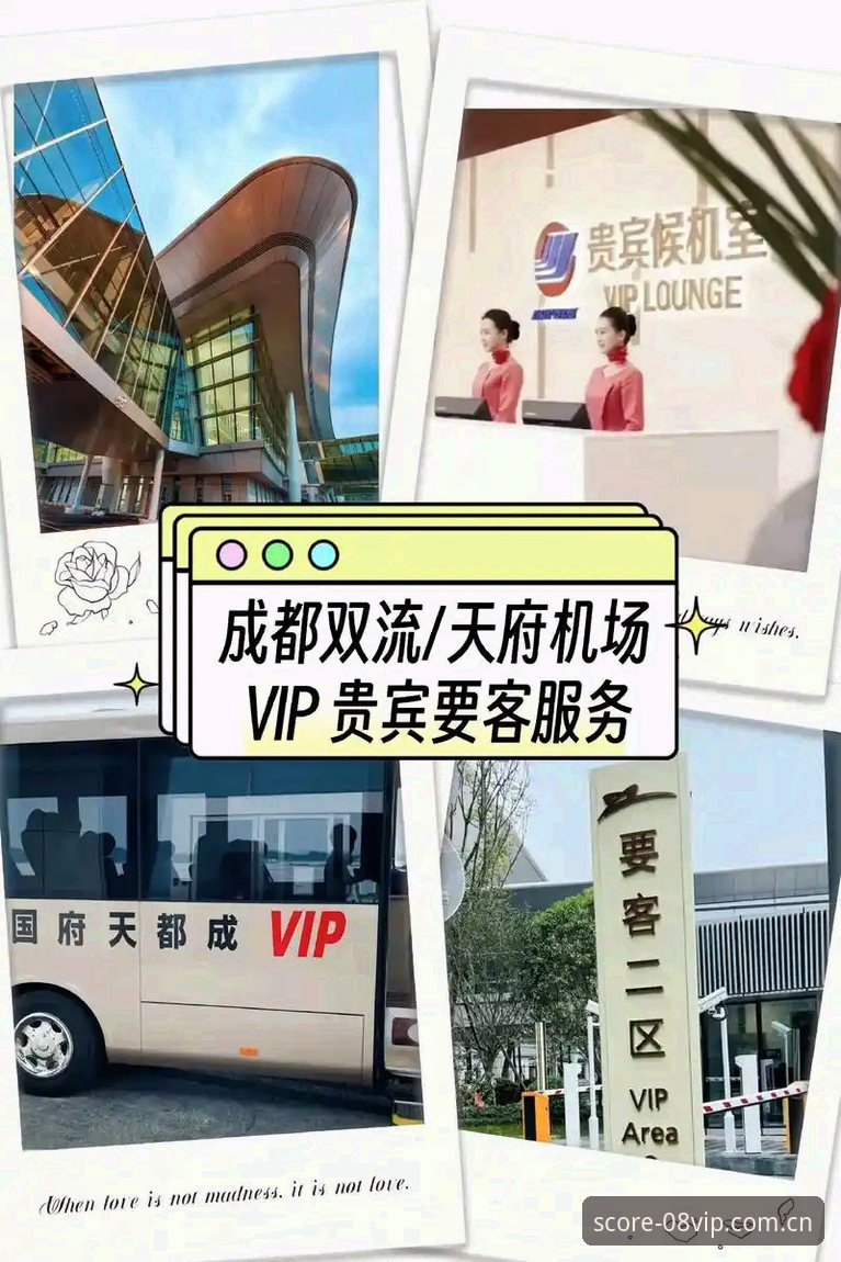 08vip体育平台详解：正版体育App的高效使用指南